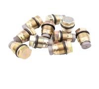 1110010024 1110010015 1110010025 1110010026 1110010027 1110010028 1110010029 Válvula de alivio de presión de combustible Common Rail(1110010025)