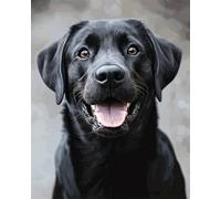 11CT Kits De Punto De Cruz Retrato De Un Labrador Retriever Kits De Punto De Cruz Estampado Con Agujas,Tijeras,Enhebradores,Juego De Agujas Perforadoras Para La Decoración De La Pared Del 60x80cm