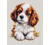 11CT Punto De Cruz Kit Completo Kit De Bordado De Animales Cavalier King Charles Spaniel，Dibujo De Perro，Estampado Con Conteo，Preimpreso，Juego De Punto De Cruz Para Adultos，Principian 40x50cm