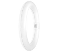 11W LED T9 Circular Tubo, G10q, 3000K, 1200lm, No Regulable - 4099854042447