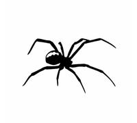 12.7CM x 7.5CM Araña Tarántula Pegatina de Vinilo con Tema de Coche para Moto, Bicicleta, Portátil, Nevera, Teléfono Móvil, Casco, Pegatinas Decorativas