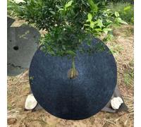 12 alfombrillas protectoras de árboles esenciales no tejidas para proteger las plantas y apoyar la salud del paisaje (02)