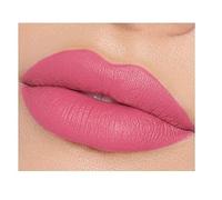 12 colores mate líquido lápiz labial conjunto, prueba de beso de larga duración tinta no pegajosa brillo labial lápiz labial hidratante para las mujeres (02#)