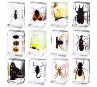 12 estilos de insecto en resina, pisapapeles de la colección de insectos, especímenes de animales para niños preservados en resina para educación científica, escritorio de oficina, suministros de