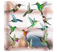 12 etiquetas adhesivas de ventana adhesivas estáticas de colibrí hermoso mixto - Colibrí pegatinas de ventana anticolisión de huelga de pájaro - impresión ÚNICA a doble cara