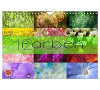 12 Farben (Wandkalender 2026 DIN A4 quer), CALVENDO Monatskalender: 12 Farben begleitet Sie durch das Jahr mit 12 der schönsten Farben der Natur