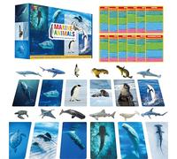 12 Figuras de Animales Marinos de Plástico con 12 Tarjetas de Introducción, Tarjetas de Aprendizaje de Reconocimiento de Animales del Océano, Figuras Realistas de Animales Submarinos para Niños, Aula