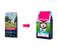 12 kg Eukanuba Adult Salmón pienso para perros