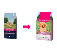 12 kg Eukanuba Puppy Large Cordero y Arroz pienso para perros
