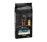 Large Robust Puppy 12 Kg - Perro