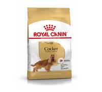 ROYAL CANIN Cocker Spaniel Adulto 12kg + sorpresa gratis