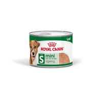 12 latas x 195 g Royal Canin Mini 8+ Ageing lata para perros senior ¡Pack ahorro!