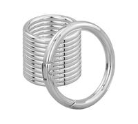 12 mosquetones redondos de 45 mm, muy resistentes, de aleación de zinc, grandes, con anillo, para llaveros, bolsos, joyas, manualidades (plata)