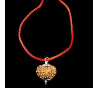 12 Mukhi Nepal Rudraksha/Doce Caras/Señor Sol en plata pura, certificado IGL, 100% original, cuentas geniales, todos los tamaños (pequeño (22 mm-24 mm)