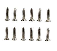 12 Pack Titanium Alloy Pickguard Mounting Screws Compatible with Fender, Gibson, Ibanez ST TL Guitar - Guitar Bass Guard Mount Screws Panel Accessories Luthier Projects