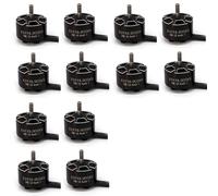 12 Piezas 3115 900KV 6S Motor Sin Escobillas para RC Multirotor X-Class FPV Cinelifter Taurus X8Pro Protek60 FPV Kit de Cámara Dones