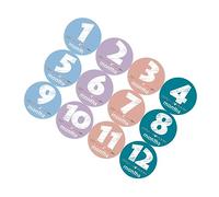 12 Piezas Calcomanías para Bebés Recién Nacidos Stickers para Fotografías de Meses Embarazo Decals Infantiles para Momentos Especiales