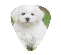 12 piezas de púas de guitarra Bichon Frise Dog Guitar Plectrums Incluye calibres delgados, medianos y pesados 3 tamaños para ukelele con caja de almacenamiento organizadora