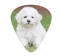 12 piezas de púas de guitarra Bichon Frise Dog Guitar Plectrums Incluye calibres delgados, medianos y pesados 3 tamaños para ukelele con caja de almacenamiento organizadora