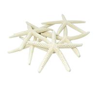 12 Piezas Estrella de Mar de Dedo 5-10cm Estrella de Mar Decorativa de Cinco Dedos
