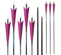 12 Piezas ID 6,2 mm Flechas de Carbono-Puro, Spine 250 300 350 400 500 600 700 800 Púrpura Puntudas-Plumas Flecha de Caza, para Tiro con Arco