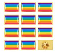 12 piezas Orgullo Gay Broches, Bandera Orgullo Reutilizable de Colores Brillantes Rainbow Pride Pins para Lgbt, Bandera Gay Broches Hombre Mujer para Solapa, Bolsos, Sombreros