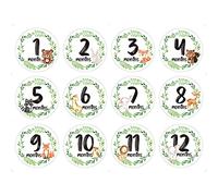 12 piezas/set pegatinas de hito recién nacido mes conmemorativo pegatinas bebé Monthly Record dibujos animados flores animales pegatinas fotografía número de tarjeta conmemorativa accesorios