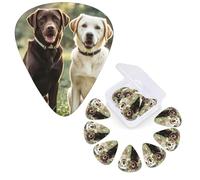 12 púas de guitarra, 3 púas de guitarra de diferentes grosores, púas de guitarra labrador retriever, perros, púas de guitarra personalizadas, púa de bajo, púa de guitarra eléctrica con caja de