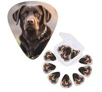12 púas de guitarra, 3 púas de guitarra de diferentes grosores, púas de guitarra marrón labrador retriever, púas personalizadas para bajo, púa de guitarra eléctrica con caja de almacenamiento, púa