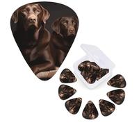 12 púas de guitarra, 3 púas de guitarra de diferentes grosores, púas de guitarra marrón labrador retriever, púas personalizadas para bajo, púa de guitarra eléctrica con caja de almacenamiento, púa