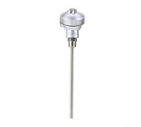 12 pulgadas NPT roscado para sensor de temperatura RTD PT100 para soluciones eficientes de monitoreo de temperatura (200 mm)