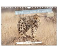 12 Schritte durch die Wildnis, Kruger Park Edition (Wandkalender 2026 DIN A4 quer), CALVENDO Monatskalender: Ein Kalender, der mit 12 poetischen ... Afrikas in jedem Monat zum Leben erweckt.