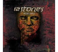 12 Stones - Picture Perfect [Vinilo]