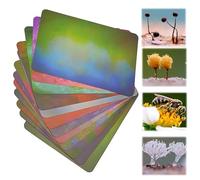 12 tarjetas de fondo coloridas para fotografía macro y estudio, material ecológico que absorbe la luz para productos pequeños, imágenes de alimentos y joyas