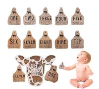 12 tarjetas de hitos de madera - Highland Cow Baby Cartas de hitos de doble cara, marcadores mensuales de hitos de Highland, marcadores de de Highland, baby shower y recién nacidos