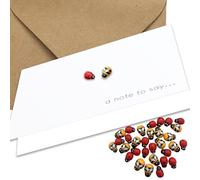 12 tarjetas de notas para decir: adornos de abeja de madera y mariquita de madera