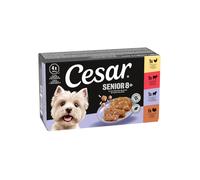 12 tarrinas x 150 g Cesar Carnes Mixtas Tarrina en Gelatina para Perros Senior ¡Pack ahorro!