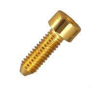 12 tornillos de montaje de trémolo para puente para guitarra eléctrica, kit de hardware de acero inoxidable para sistemas de vibrato de estilo, acabado plateado, agujero de 2,5 mm (dorado)