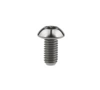 12 Tornillos de Soporte para Bicicleta M5, Pernos de Pinza de Freno de Disco de Bicicleta, Titanio, M5 x 10 mm