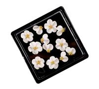 12 Uds. De Decoraciones Para Uñas Camelia Resina Dijes Accesorios Únicos Manicura Suministros Arte Adornos Uñas