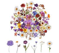 120 calcomanías de flores para álbumes de recortes, calcomanías estéticas de flores naturales, juego de calcomanías florales transparentes para suministros de álbumes de recortes, manualidades