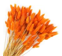 120 colas de conejo secas, flores, colas de conejo lagurus, decoración de hierba de las pampas, decoración de hierba de las pampas secas, decoración naranja para arreglos florales, ramos de boda,