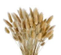 120 pcs de Hierba de la Pampa Seca, decoración de Ramos de Flores secas, Flores secas de Plantas de Pampas esponjosa, arreglos Florales de decoración del hogar Bohemio (Color de los Troncos)