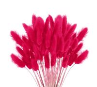 120 pcs de Hierba de la Pampa Seca, decoración de Ramos de Flores secas, Flores secas de Plantas de Pampas esponjosa, arreglos Florales de decoración del hogar Bohemio (Rojo Brillante)