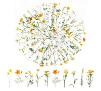 120 pegatinas transparentes para álbumes de recortes, pegatinas de flores de PET para plantas, pegatinas de flores, pegatinas de flores para scrapbook, álbum de fotos, álbumes de recortes, portátiles,