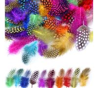120 piezas Plumas manualidades, MWOOT Plumas de Faisán 5-13 cm Plumas Naturales para Pascua Máscara de Catcher Sueño Prendas de vestir DIY Artesanía Sombrero