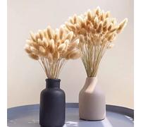 120 Piezas Ramos de Flores Secas de Colas de Conejo Hierba Seca de Cola de Conejo Hierba de La Pampa Natural para Decoración Utilizado del Hogar de Bodas en Interiores Decoración (Color Natural)