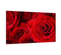 120 x 80 cm Cuadro en Lienzo Rosa 5058-SCT - Imagen/Impresion/Pintura Listo para Colgar