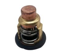 122 grados F termostato compatible con de motor externo 2 accidente cerebrovascular 60tlr C -60 E60 P60 70ELR C70TLR 60HP 70HP para el 6H3-12411 -01 -10 -11 -00 Reemplazo del mercado de accesorios