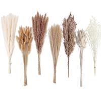 128 flores secas de hierba de las pampas con cola de conejo, ramo de hierba de caña para boda, bohemio, decoración de mesa para el hogar, fiesta de granja rústica